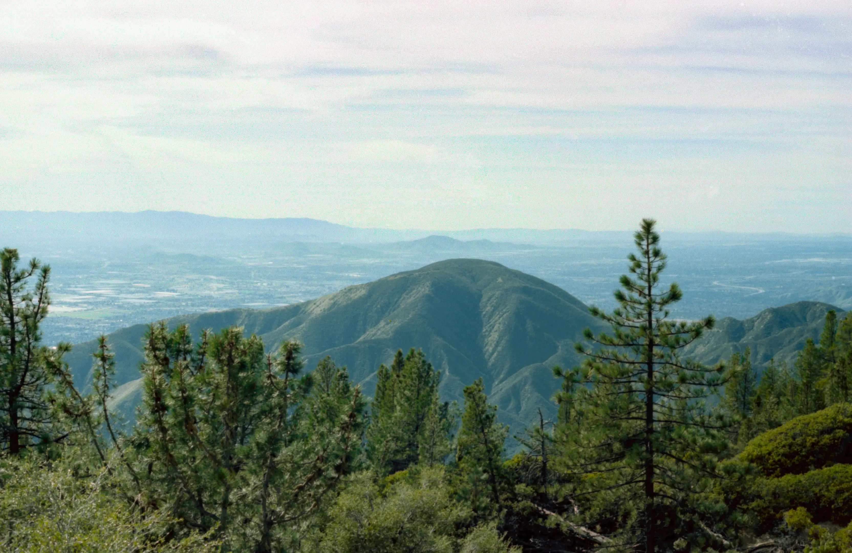 Photo of the mountains, with a couple of trees in the foreground